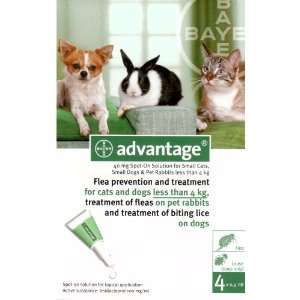  Advantage Green 4 Pack Small Dogs, Cats