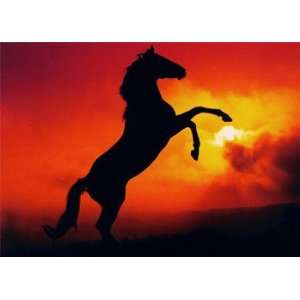  SUNSET HORSE 106