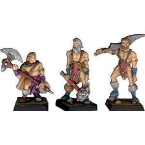  Fenryll Miniatures Barbarian Heroes (3) Toys & Games