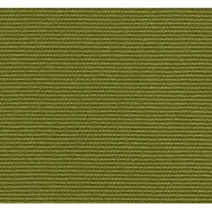  1699 Montara in Lime by Pindler Fabric