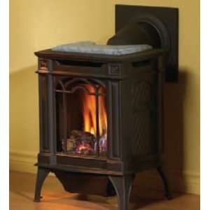  Napolean Fireplaces GDS20N Arlington 20 in. Cast Iron 