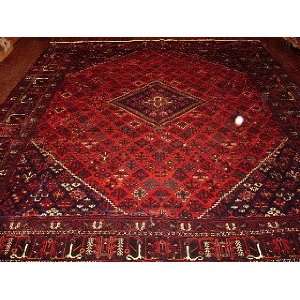   11x13 Hand Knotted Joshegan Persian Rug   111x1311