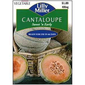  Cantaloupe Hales Best Patio, Lawn & Garden