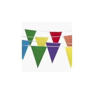  300 Foot Multicolor Pennant Banner 
