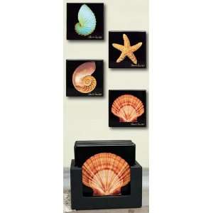  Set of Coaster Shells with Display Box