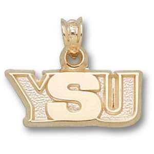  Youngstown State University YSU Pendant (14kt) Sports 