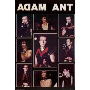  Adam Ant Live Pics Orig. 80S 23X34 Poster