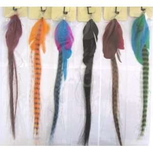  12 Feather Hair Extension 4853  12 piece pack Beauty