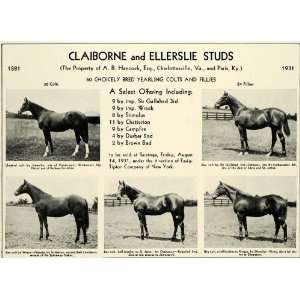   Ellerslie Colts Yearlings Fillies Horse Breeders   Original Print Ad