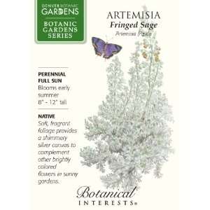  Artemisia Fringed Sage Seeds Patio, Lawn & Garden