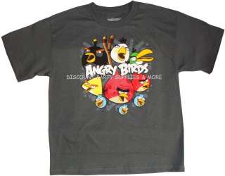 Angry Birds Gray Tee T Shirt Sz 10/12  