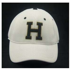  Harding University Bison White Elite One Fit Hat Sports 