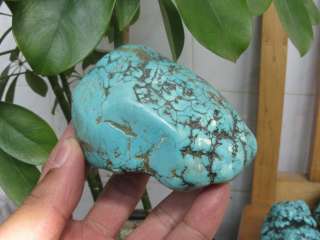 425g VAIN BLUE polished Turquoise Rough NuggeT  