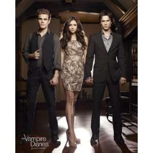 Vampire Diaries Stefan Elena Damon Holding Hands Photo