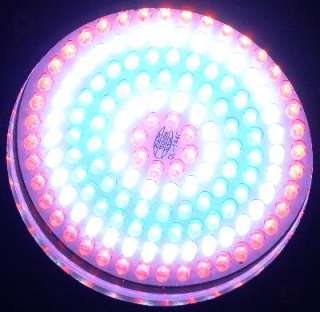 Pack 144 LED Color Changing Submersible Pond Light  