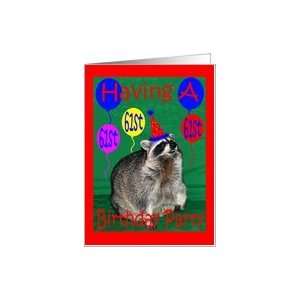   Birthday Party, Raccoon with party hat and balloons Card Toys & Games