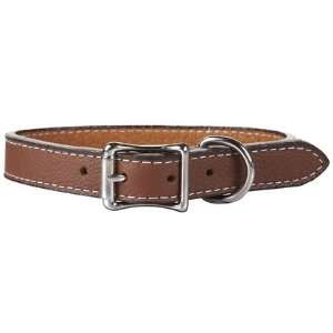   Collar   Brown   1X22 (Quantity of 1)