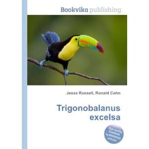  Trigonobalanus excelsa Ronald Cohn Jesse Russell Books