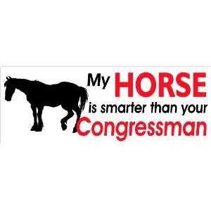   smarter than your congressman rodeo bumper sticker 7x21/2 Automotive