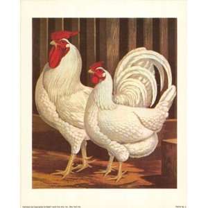  Poultry, IV   Poster by Cassells (7x8)