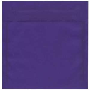  8.5 x 8.5 Square (8 1/2 x 8 1/2) Primary Blue / Purple 