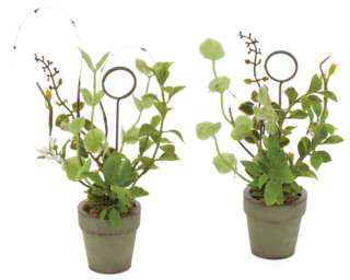 This set of 6 artificial potted herbs are also placecard holders. The 