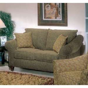  Loveseat Sofa with Rolled Arms Design in Sage Color