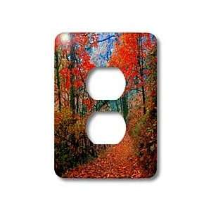   of Autumns Forest Flames   Light Switch Covers   2 plug outlet cover