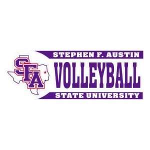   STATE UNIVERSITY VOLLEYBALL WITH LOGO   9 x 3.2