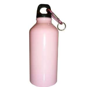 Pink 20oz Stainless Steel Reusable Water Bottle w/ Hiking Clip  