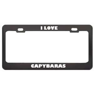  I Love Capybaras Animals Metal License Plate Frame Tag 