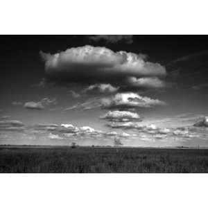  Cloud Formation in the Everglades, Limited Edition 
