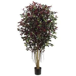  Pack of 2 Decorative Ficus Retusa Trees with Round Pots 5 