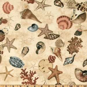  44 Wide Wild Palms Sea Shells Cream Fabric By The Yard 