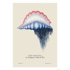   , or Portuguese Man of War Giclee Poster Print by J. Forbes, 18x24
