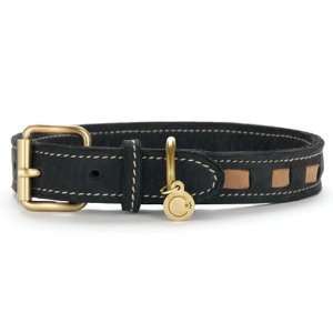  Sonoma Dog Collar