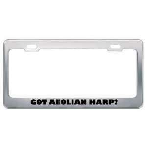Got Aeolian Harp? Music Musical Instrument Metal License Plate Frame 