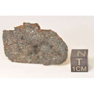  NWA6870   CV3 *Rare* Meteorite 