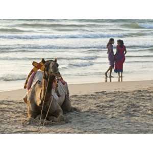  Two Girls on Beach at Dusk, Camel Waiting, Ganpatipule 