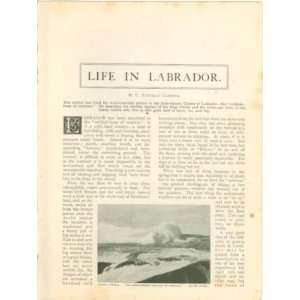  1902 Life in Labrador Esquimaux Cod Fishing Everything 