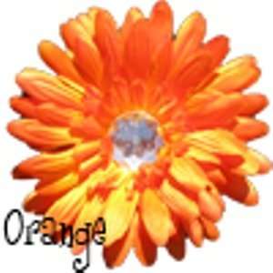  Orange Crystal Gerber Daisy Clip Beauty