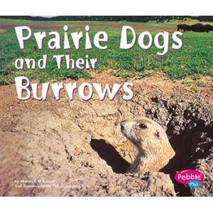  Prairie Dogs And Their Burrows