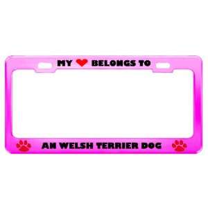  An Welsh Terrier Dog Pet Pink Metal License Plate Frame 