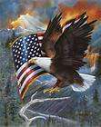 American Flag Eagle 97 Cross Stitch Pattern on CD  