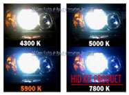 H10 (9040, 9050, 9055, 9140, 9145) one pair ( 2 bulbs ) of Xenon 