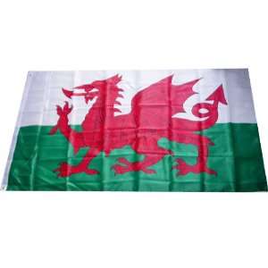  Welsh St David Cymru Owain Glyndwr Dragon Flag 3x5 Feet 