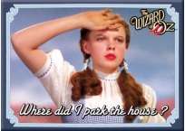Wizard of Oz Where Did I Park The House Magnet 29057OZ  
