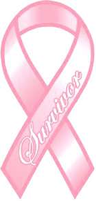   breast cancer awareness organizations, schools, churches, or your