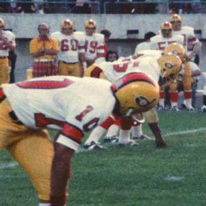 1974 WFL Detroit Wheels Suspension Football Helmet  