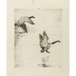   Frank Weston Benson   24 x 30 inches   Geese Alighting